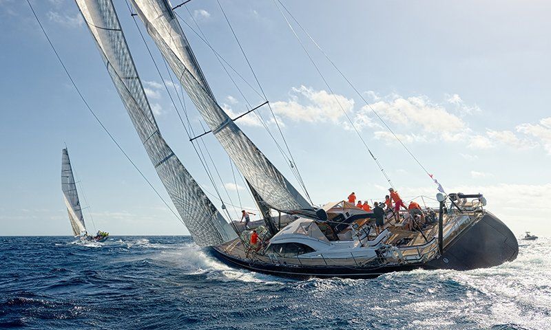 IL 4 E 5 GIUGNO A MOLFETTA IL VELA DAY CON IL CIRCOLO IPPOCAMPO