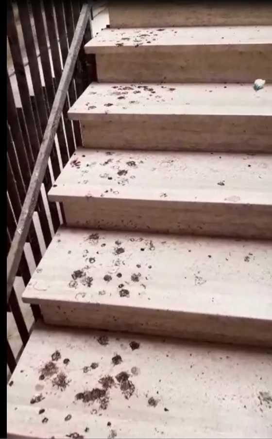 LE CONDIZIONI IGIENICHE DEL CIMITERO DI MOLFETTA LASCIANO MOLTO A DESIDERARE. LA SEGNALAZIONE DI UN CITTADINO CHE GIRA UN VIDEO