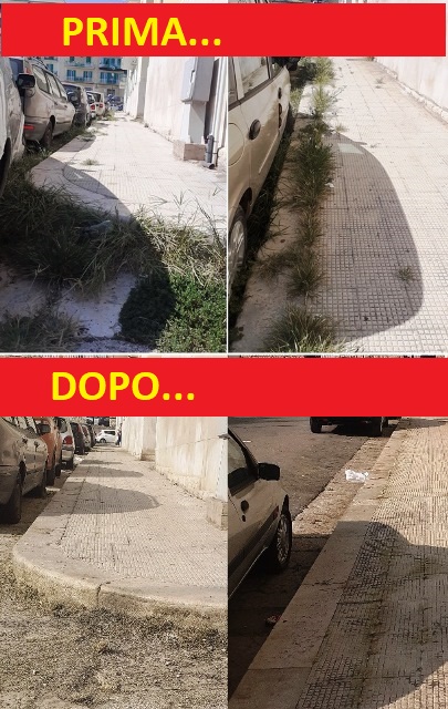 RIPULITE VIA PICCINNI E ZONE LIMITROFE. LA SEGNALAZIONE ERA PARTITA DAI CITTADINI DEL QUARTIERE. LUFFICIO RECLAMI DI MOLFETTAFREE HA FUNZIONATO