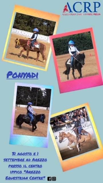 LA MOLFETTESE CATERINA MINERVINI GUIDER IL TEAM DI REINING CHE RAPPRESENTER LA PUGLIA ALLE PONYADI 2022 CHE SI SVOLGERANNO AD AREZZO DAL 31 AGOSTO AL 3 SETTEMBRE