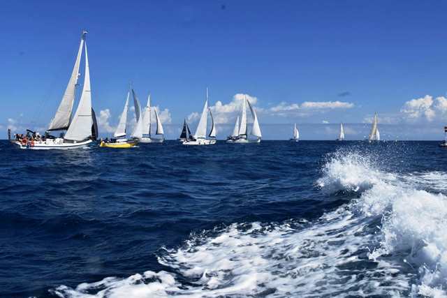 OTTIMI RISULTATI PER LASSOCIAZIONE MEDITERRANEO VELA MOLFETTA NELLA REGATA NOTTURNA SUPER LUNA E NELLA REGATA 