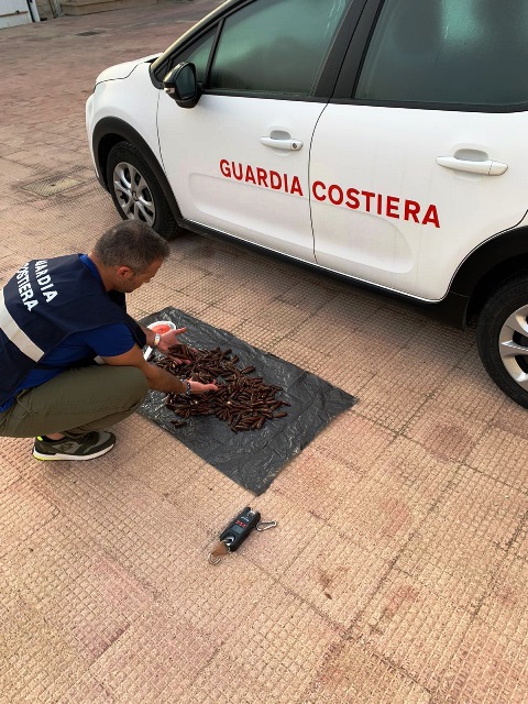 3 KG DI DATTERI DI MARE SEQUESTRATI DAI MILITARI DELLA CAPITANERIA DI PORTO DI MOLFETTA AD UN PESCATORE DI FRODO