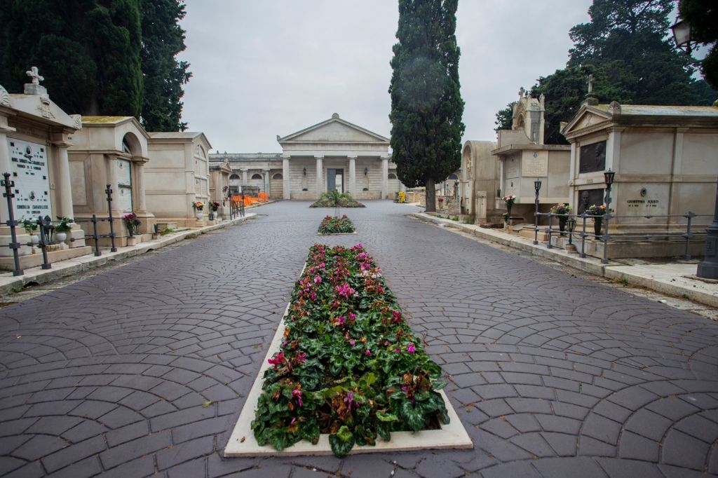 CONTRO I PICCIONI ED I PAPPAGALLI ARRIVANO I FALCHI ADDESTRATI AL CIMITERO DI MOLFETTA