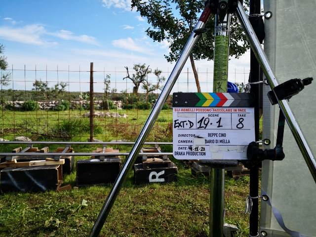 PROSEGUONO LE RIPRESE DEL FILM GLI AGNELLI POSSONO PASCOLARE IN PACE PRODOTTO DAL MOLFETTESE CORRADO AZZOLLINI PER DRAKA PRODUCTION