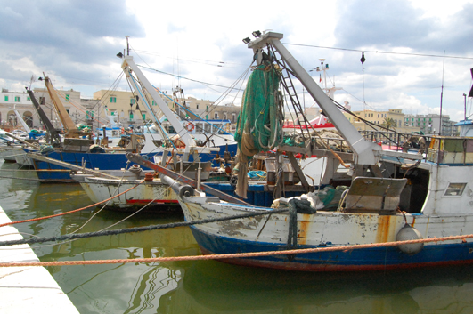 IL PROSSIMO 16 GIUGNO, CONFERENZA DEI SERVIZI PER LA PESCA A MOLFETTA