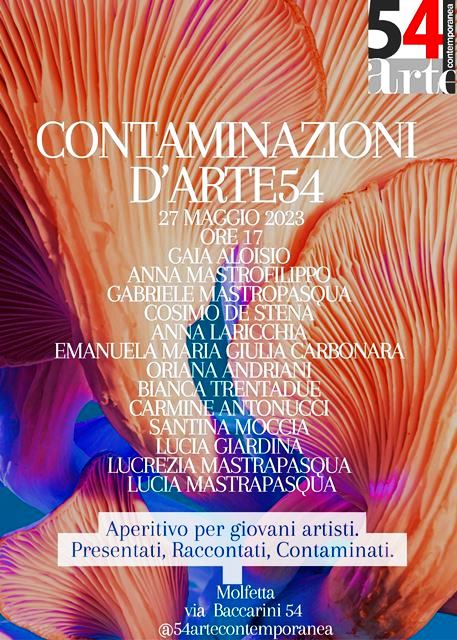 SABATO 27 MAGGIO 13 GIOVANI ARTISTI PRESENTERANNO A MOLFETTA CONTAMINAZIONI DARTE54