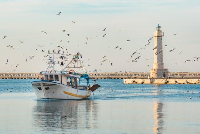 SI PARLA DI MOLFETTA SULLA RIVISTA ITALY MAGAZINE. A SCRIVERE LARTICOLO IL GIORNALISTA DI ORIGINI MOLFETTESI ANTHONY GADALETA